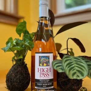 Kokedama Class for 1 with the Florist